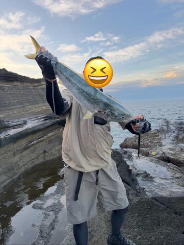 ワラサの釣果