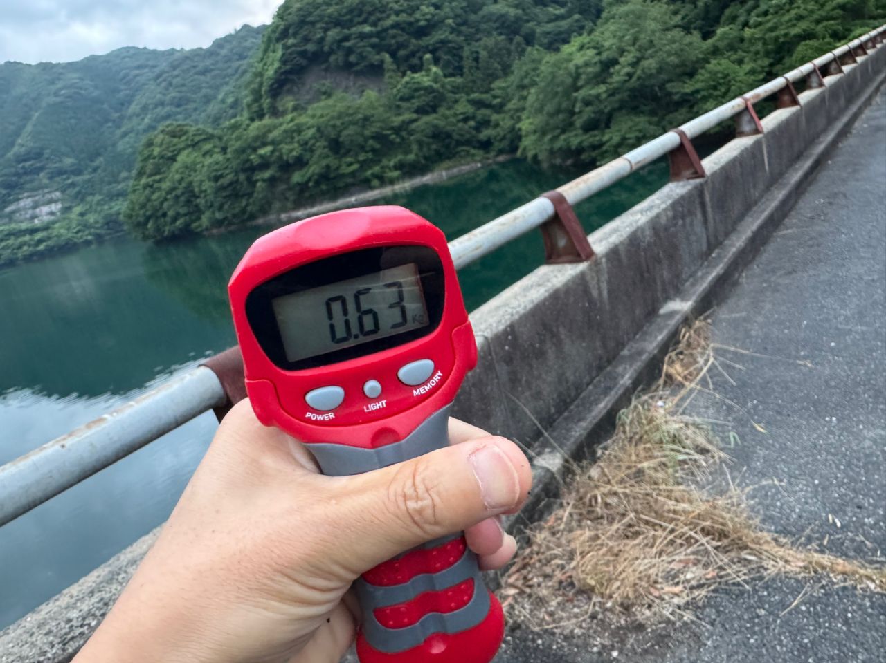 ブラックバス