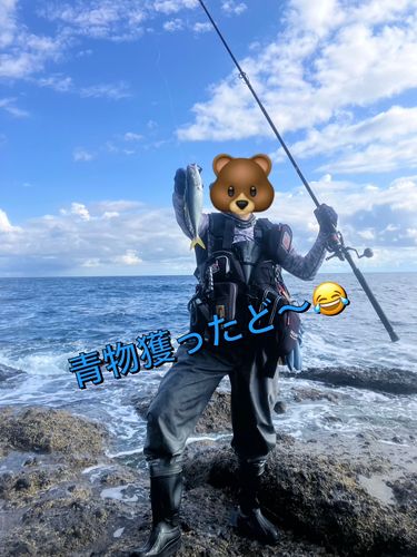 フクラギの釣果