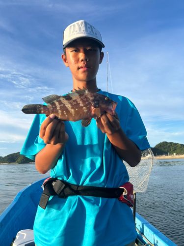 アコウの釣果