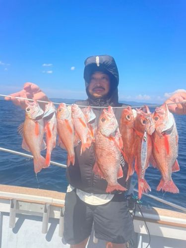 アカムツの釣果
