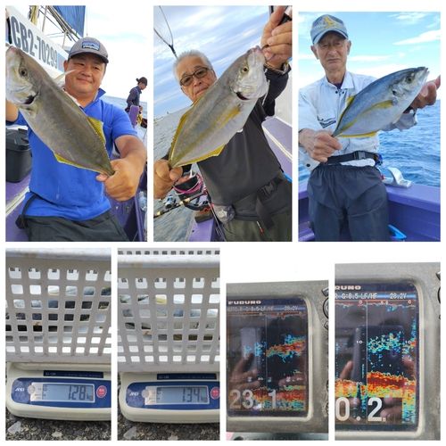 シマアジの釣果