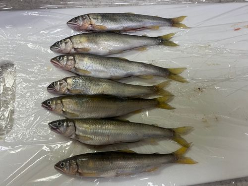 琵琶湖北湖