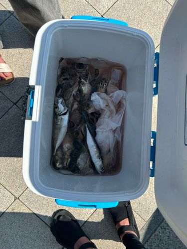小名浜港アクアマリンふくしま周辺