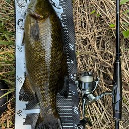 スモールマウスバス