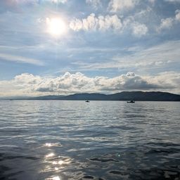 タチウオ