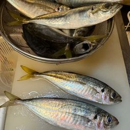 アジ