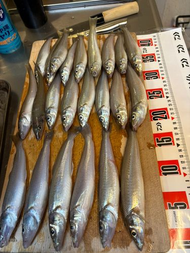 高洲海浜公園