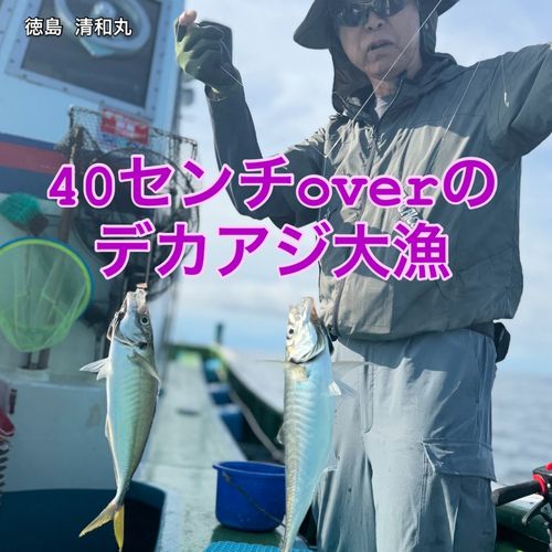 シロアマダイの釣果