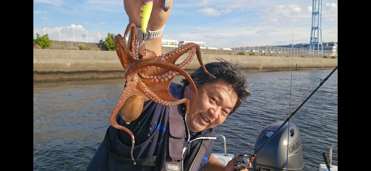 タコ