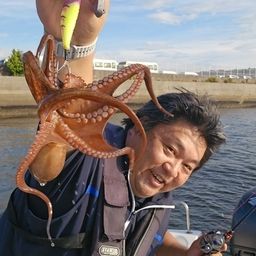 タコ