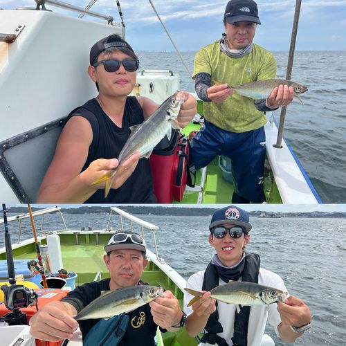 マアジの釣果