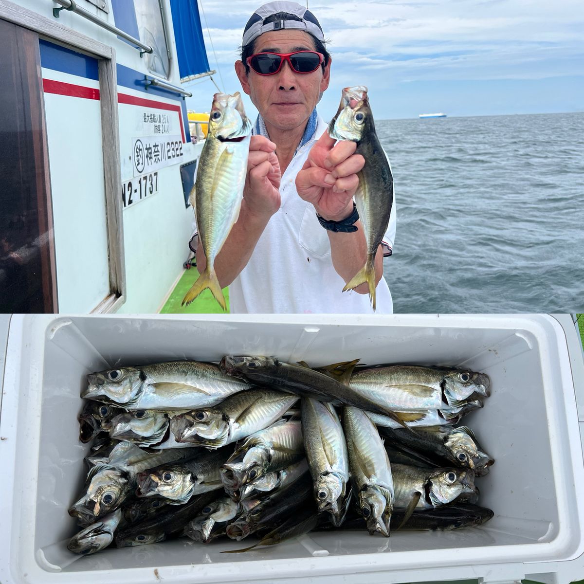 政信丸さんの釣果 3枚目の画像