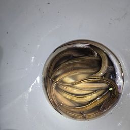 アナゴ