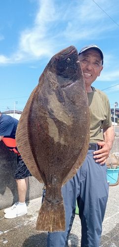 ヒラメの釣果