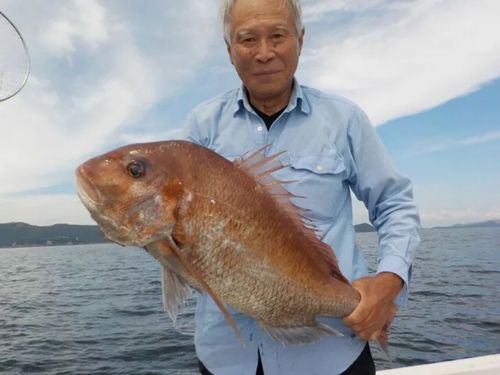 マダイの釣果