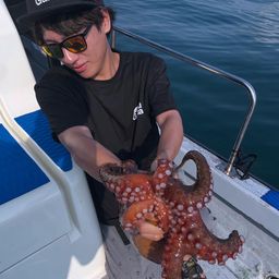 タコ