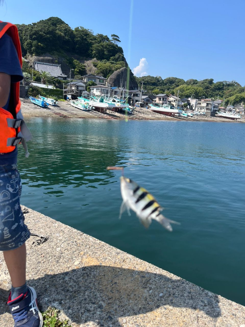 オヤビッチャ
