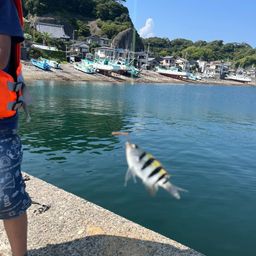 オヤビッチャ