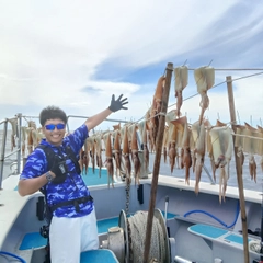 スルメイカの釣果