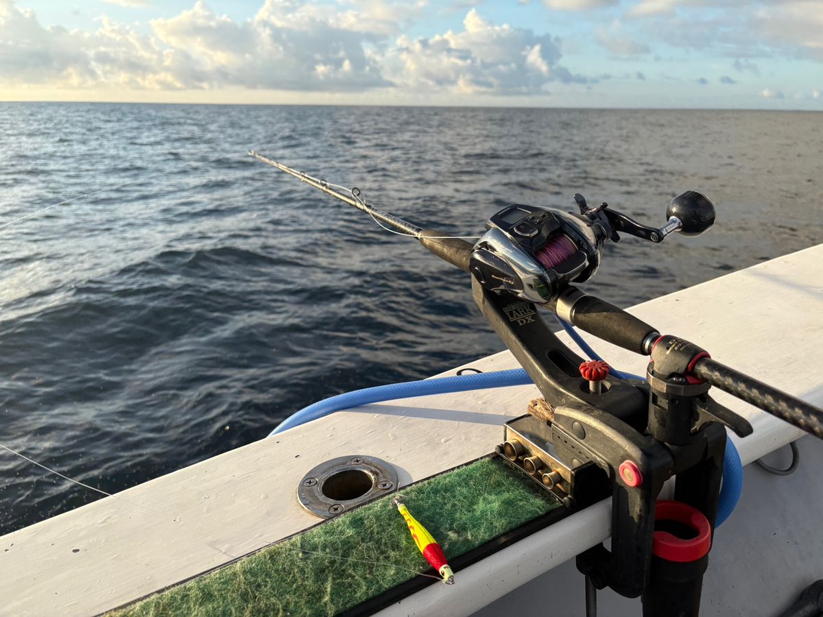 P.kobaさんの釣果 2枚目の画像