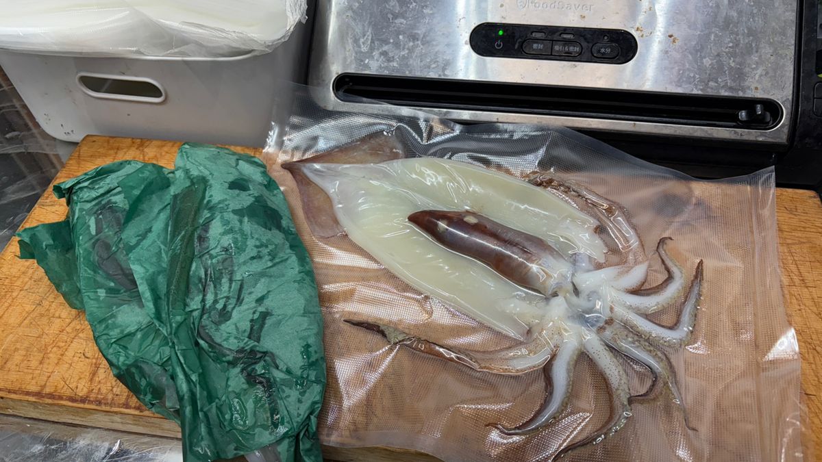 P.kobaさんの釣果 3枚目の画像