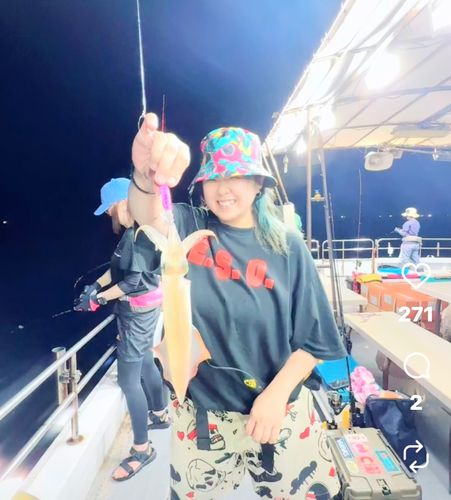 ケンサキイカの釣果