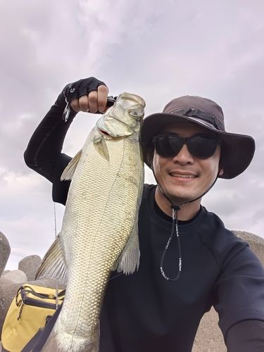 浜田マリン大橋