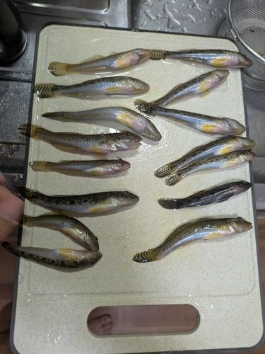 奥浜名湖