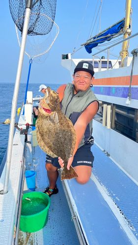 ヒラメの釣果