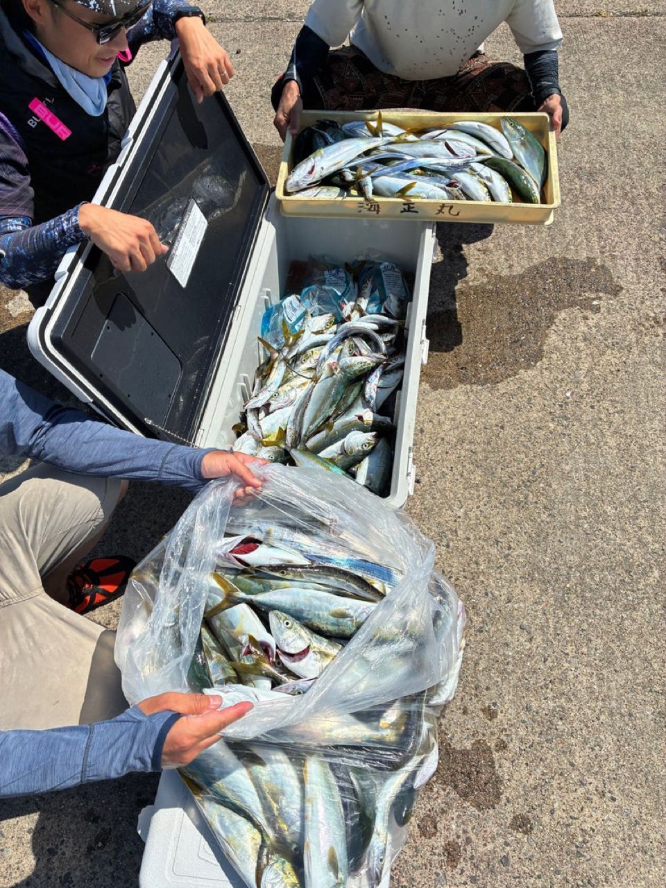 ゆーーーとさんの釣果 3枚目の画像