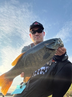 スモールマウスバスの釣果