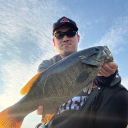 スモールマウスバス