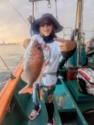 タイの釣果