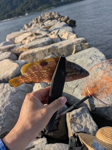 釣果