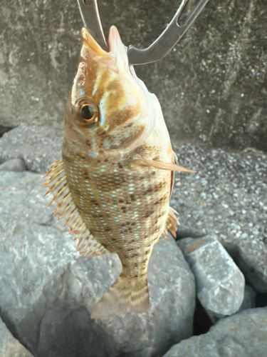 金武湾