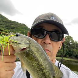 ブラックバス