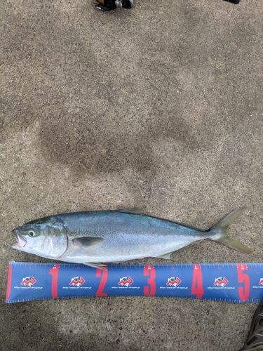 鹿島港魚釣園