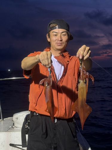 シロイカの釣果
