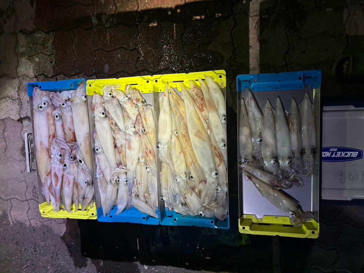 田畑良朗@なつき丸さんの釣果 3枚目の画像