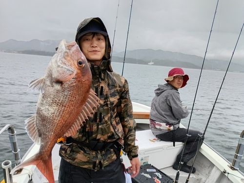 マダイの釣果