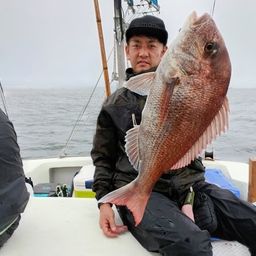 マダイ