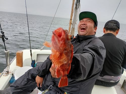 ガシラの釣果