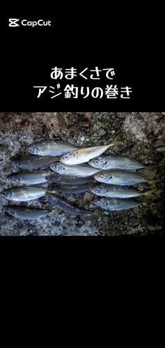 本渡港