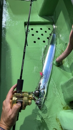 タチウオの釣果