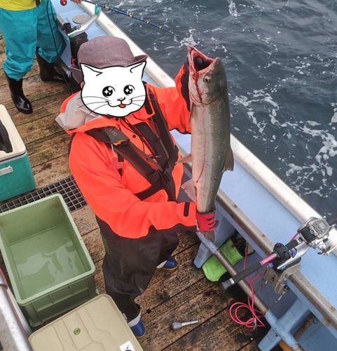 アキアジの釣果