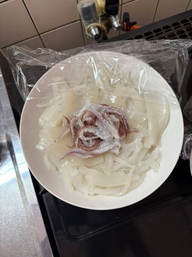 イカの釣果