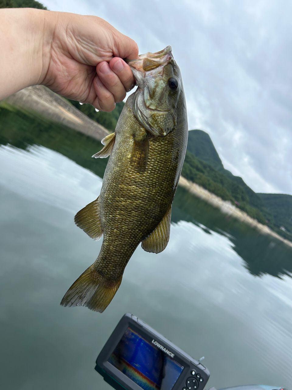 スモールマウスバス