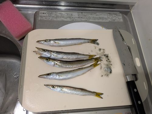 巴川河口