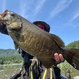 スモールマウスバス